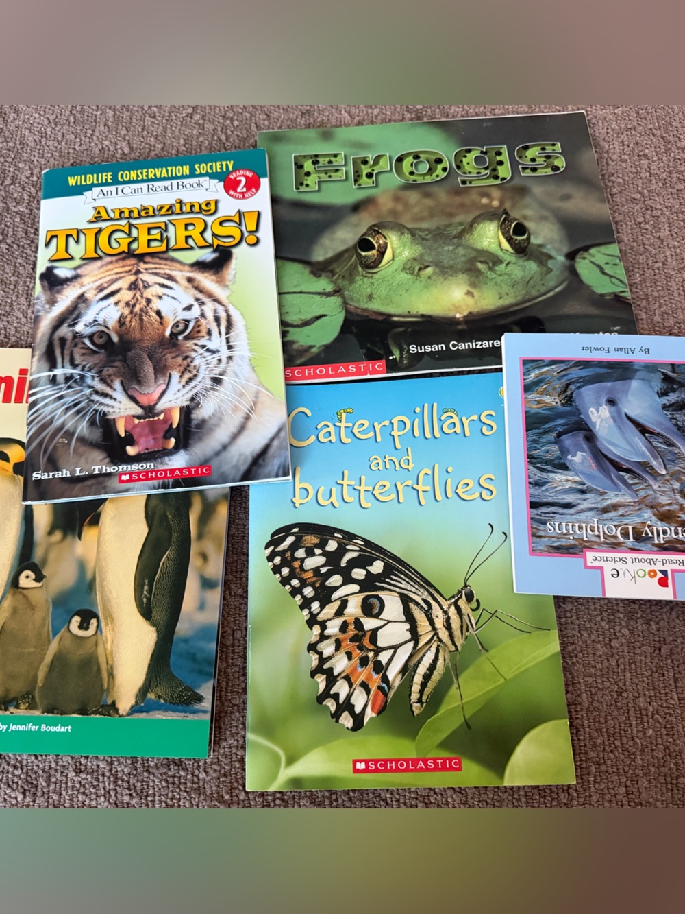 Children’s Animal & Wildlife Book Bundle – 5 Books🐸🐧🦋